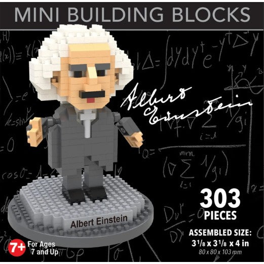 Albert Einstein Mini Blocks