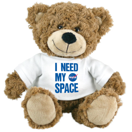 I Need My Space Bear