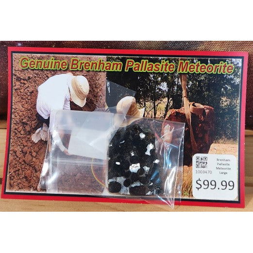 Brenham Pallasite Meteorite