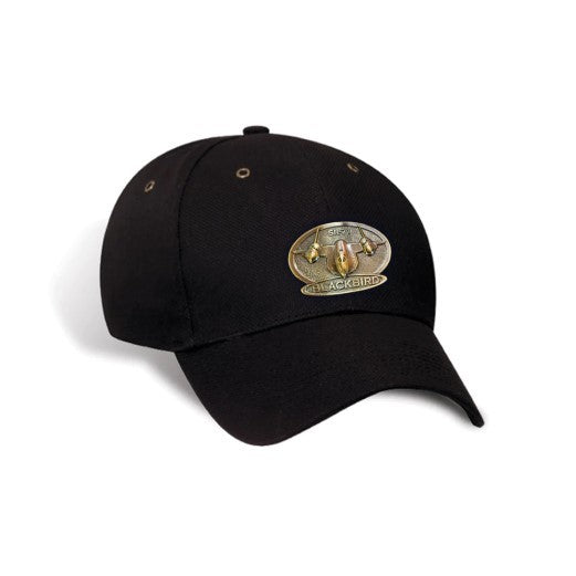 SR-71 Blackbird Hat w/Brass Medallion
