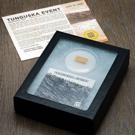 Tunguska Event - Surviving Tree