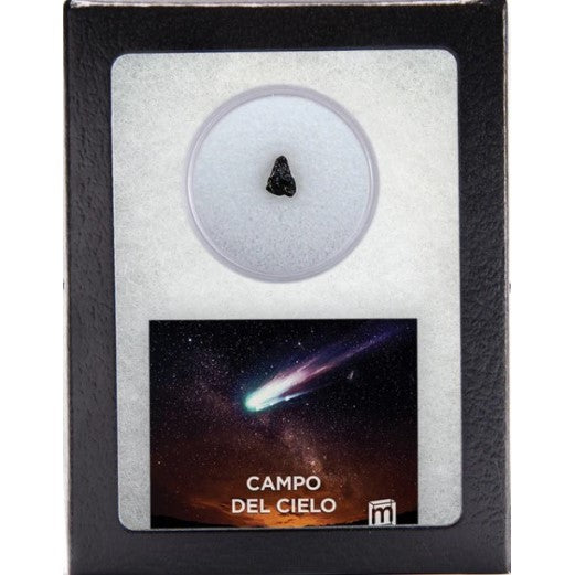 Campo Del Cielo Meteorite