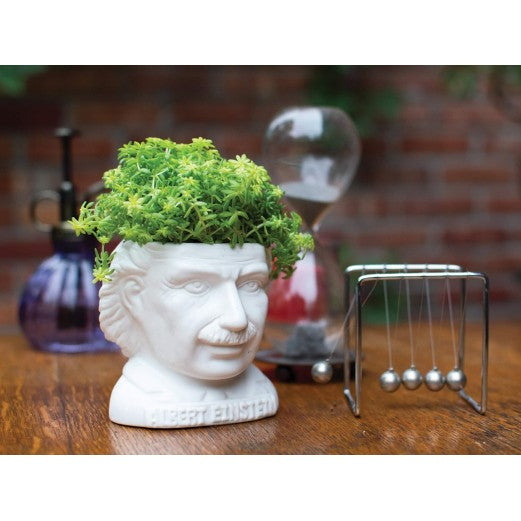 Albert Einstein Planter