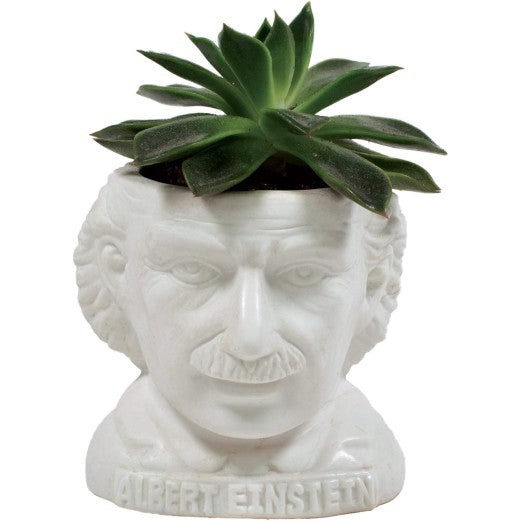 Albert Einstein Planter