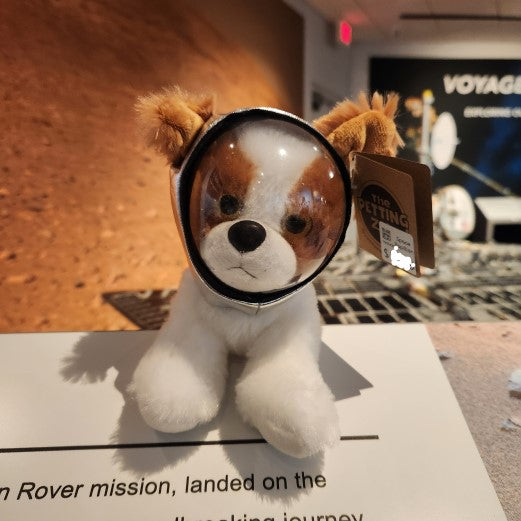 Plush Miniz Papillion Astronaut