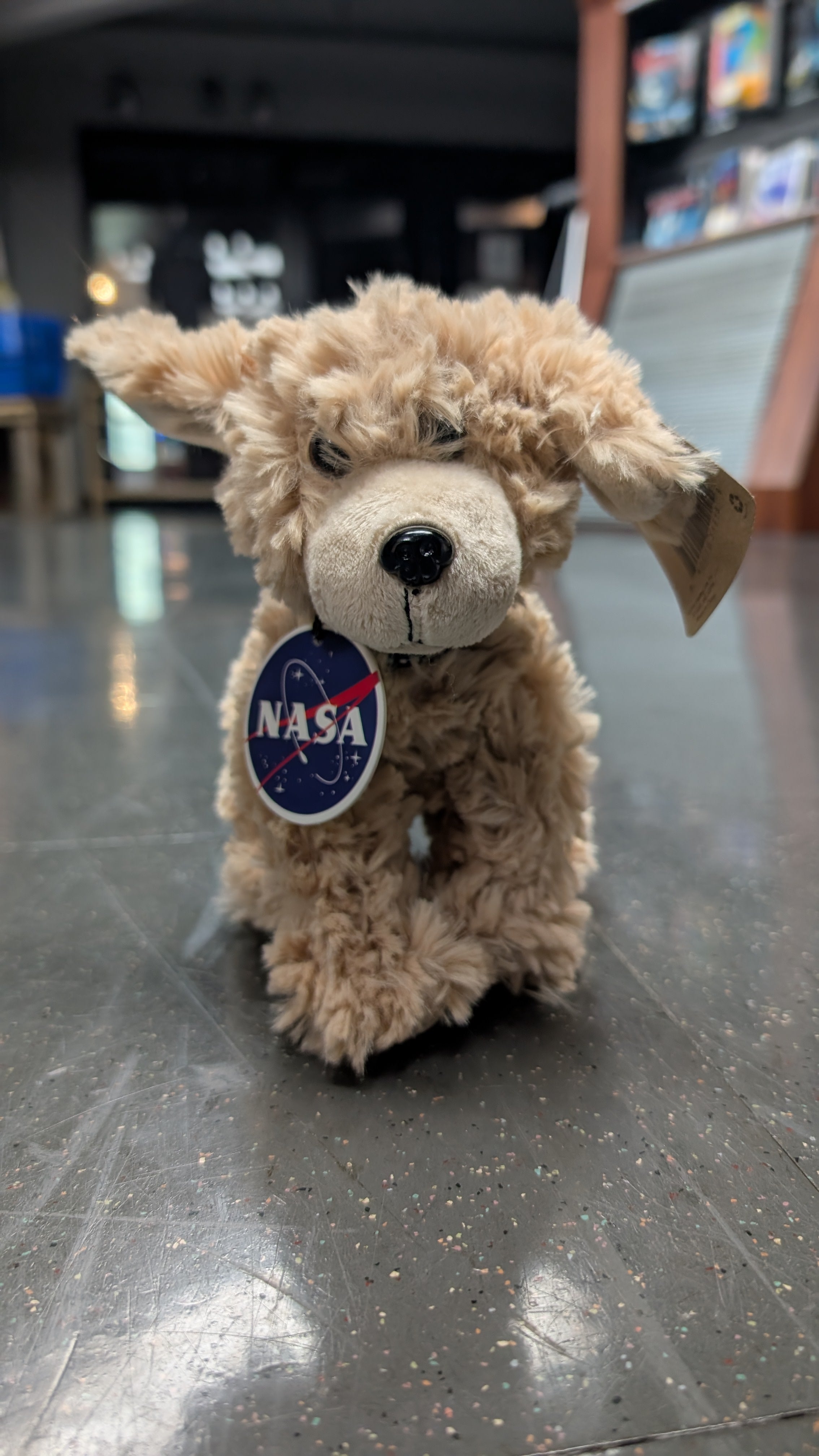 Miniz Dog Plush Astronaut – Cosmosphere