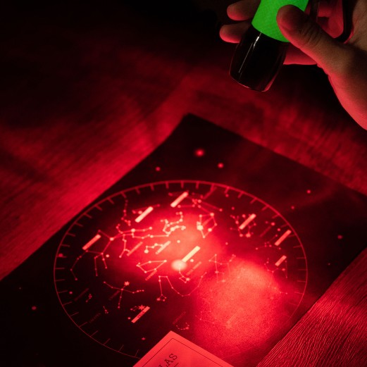 RedSight Red LED Flashlight