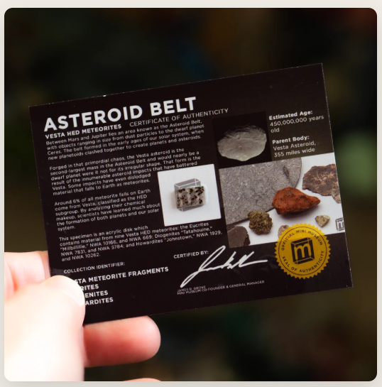 Asteroid Belt HED Meteorite Fragments - Display Card